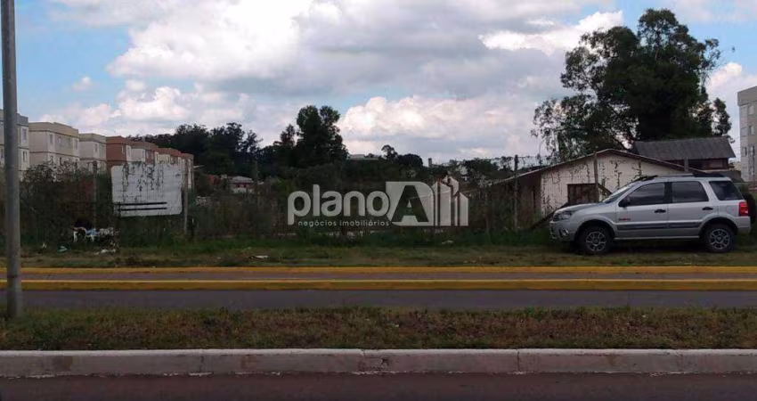 Terreno para aluguel, com 1.408m², - Santa Cruz - Gravataí / RS por R$ 5.500,00