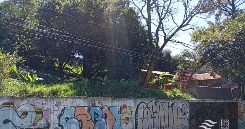 Terreno à venda, 2000 m² por R$ 6.000.000,00 - Vila Corberi - São Paulo/SP