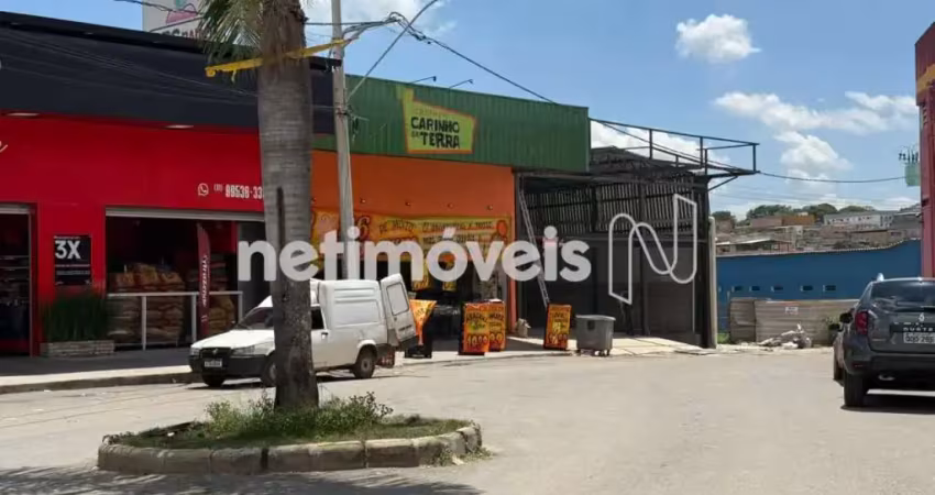 Barracão / Galpão / Depósito para alugar no San Marino, Ribeirão das Neves 