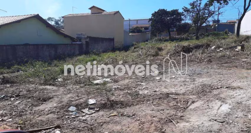 Terreno comercial para alugar na Rua Caldas da Rainha, São João, Betim
