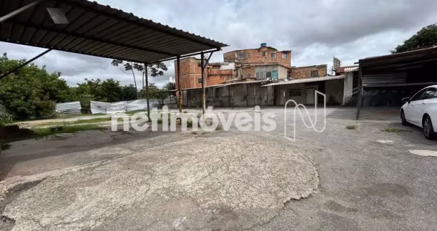 Terreno comercial para alugar no Nova Suíssa, Belo Horizonte 