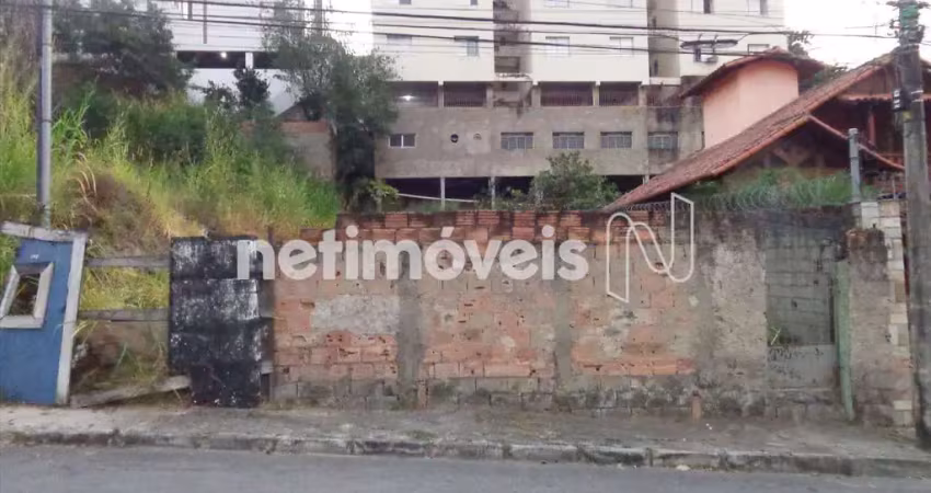 Terreno à venda na Rua Amaro Ribeiro Coelho, Alto Caiçaras, Belo Horizonte