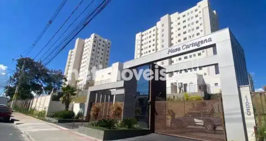Apartamento com 2 quartos para alugar no São Gabriel, Belo Horizonte 