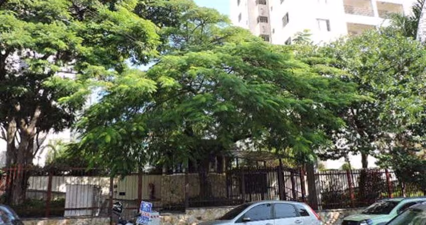 Apartamento LOCAÇÃO Vila Isolina Mazzei,  60m²