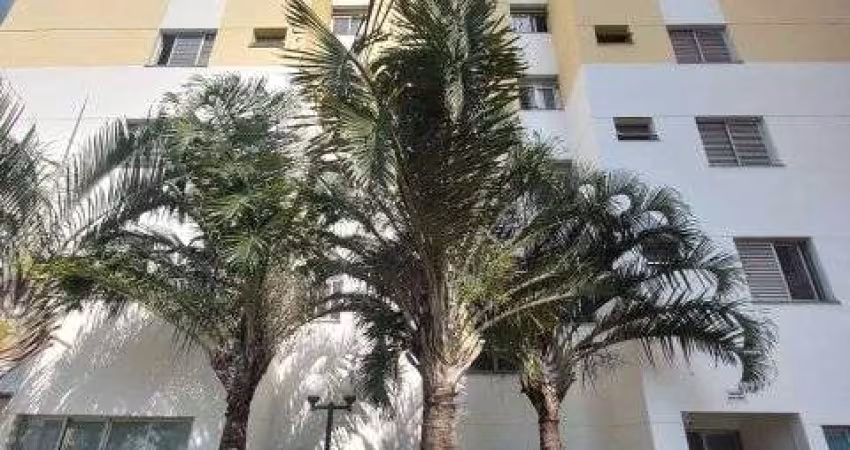 APARTAMENTO - VENDA - GUARULHOS/VILA MILTON