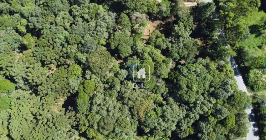 Terreno à venda, 20455 m² por R$ 1.360.000 - Alphaville Graciosa - Pinhais/PR