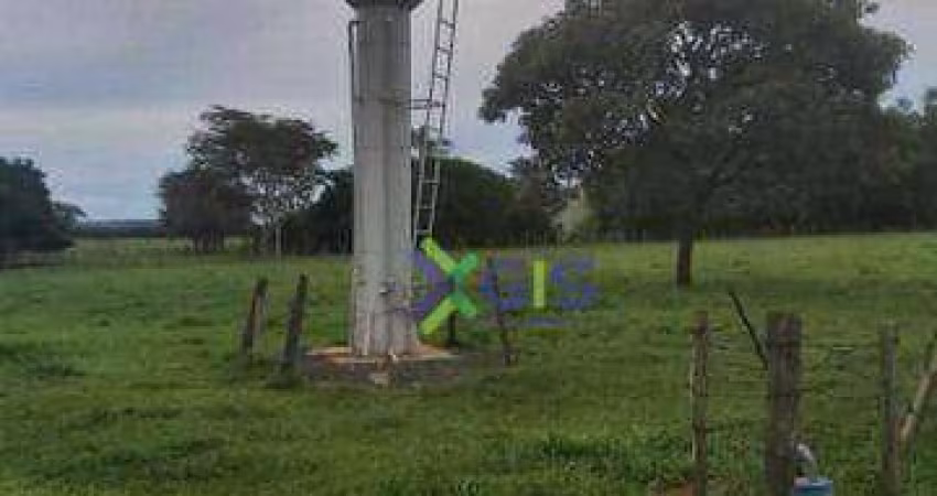 Sítio à venda, 5 m² por R$ 1.300.000 - Zona Rural - Neves Paulista/SP