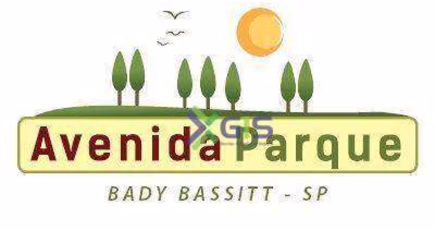 Terreno à venda, 215 m² por R$ 65.000 - Avenida Parque - Bady Bassitt/SP