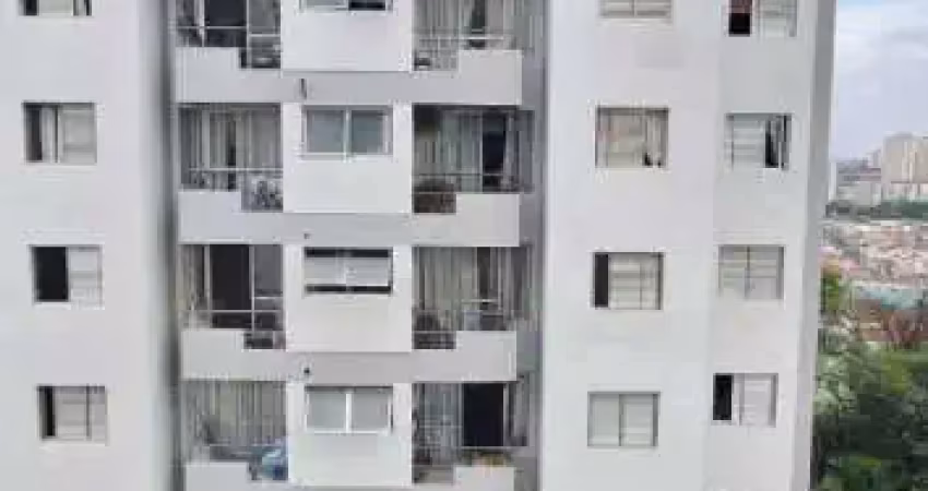 Apartamento para venda e aluguel, 2 quarto(s),  vila campo grande, são paulo - ap6908