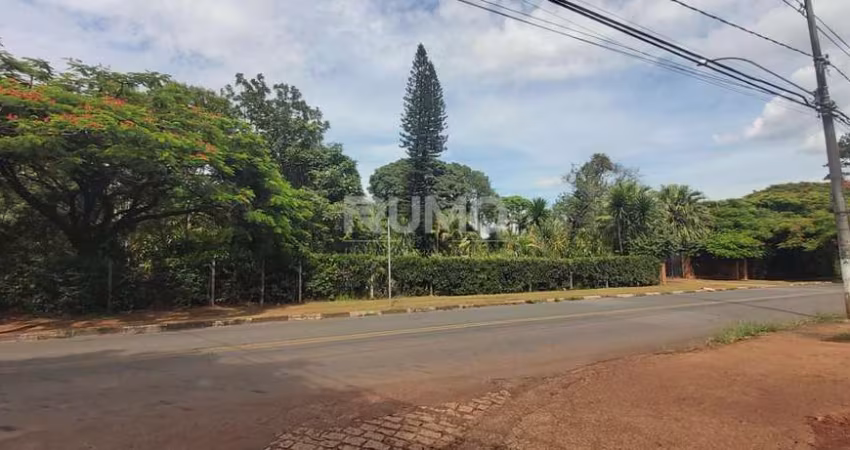 Terreno comercial à venda na Rua José Pugliessi Filho, s/n, Barão Geraldo, Campinas
