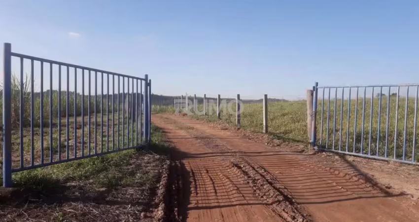 Fazenda à venda na Rodovia Hermínio Petrin, s/n, s/n, Santa Terezinha, Piracicaba