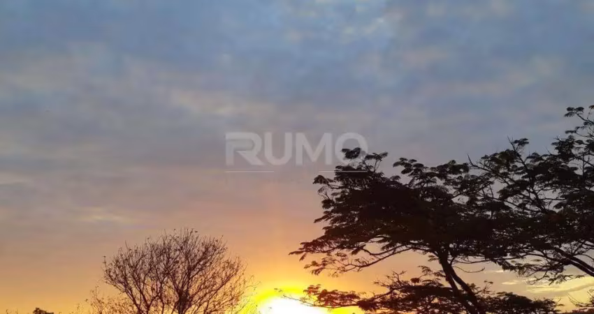 Chácara / sítio com 5 quartos à venda na Estrada Sousas-Pedreira, 01, Sousas, Campinas