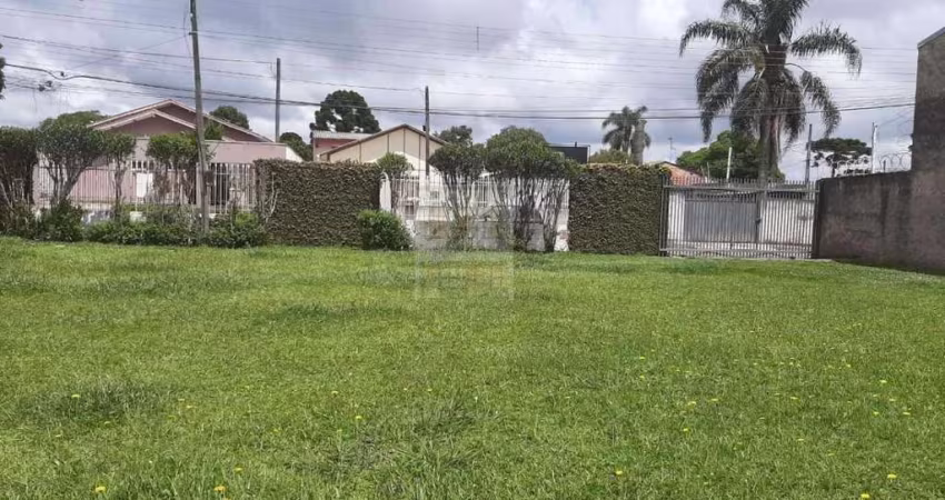 Terreno para Venda em São José dos Pinhais, Borda do Campo, 2 dormitórios, 1 banheiro