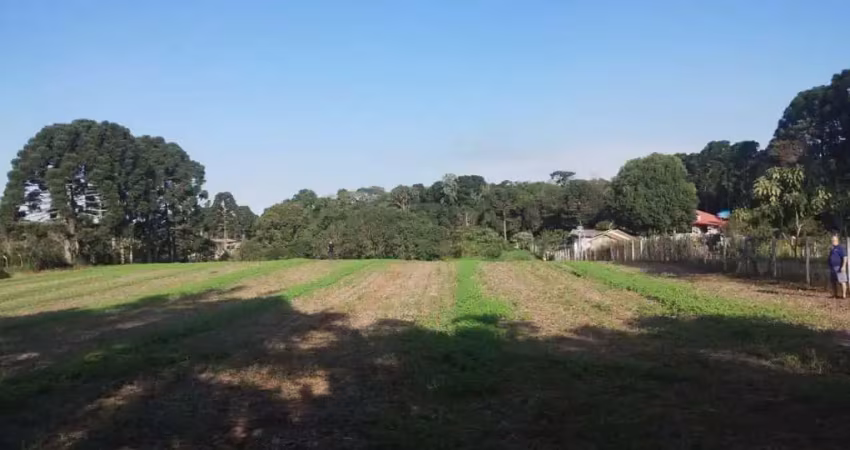 Chácara de terra fértil a venda na área rural de são josé dos pinhais