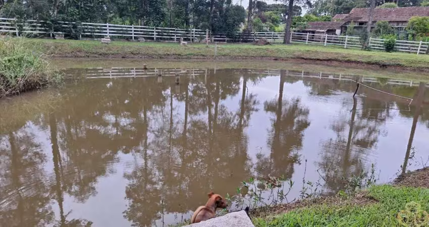 Chácara com 3 dormitórios à venda, 7774 m² - campina do taquaral - são josé dos pinhais/pr