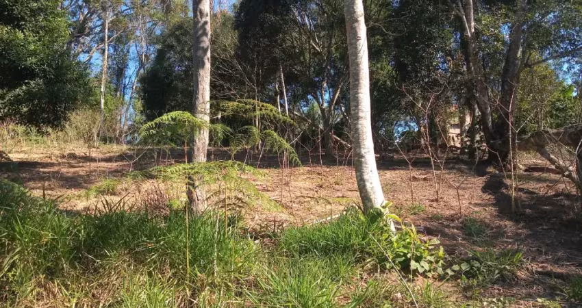 3 ideias para fazer neste terreno de 1060metros- na estrada do verava.