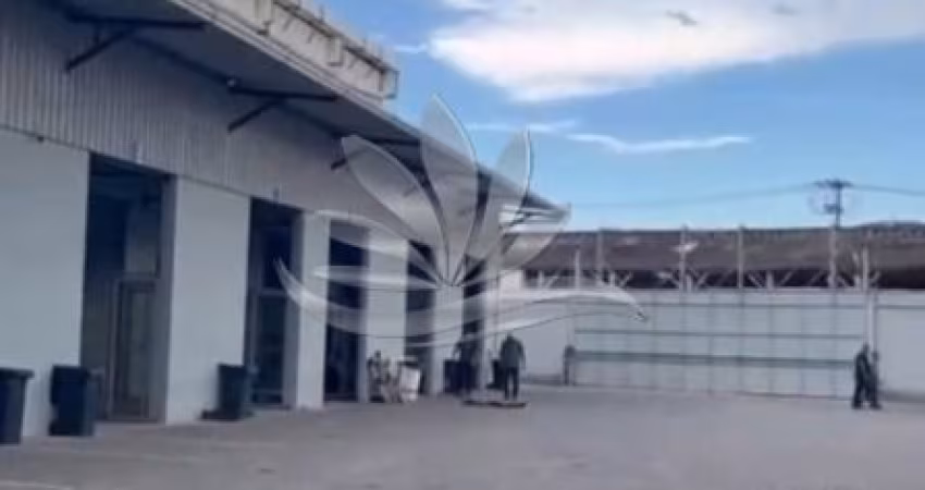 Galpão Frigorífico com Terreno de 3.000 m² em Ramos – Pronto para Potencializar seu Negócio!