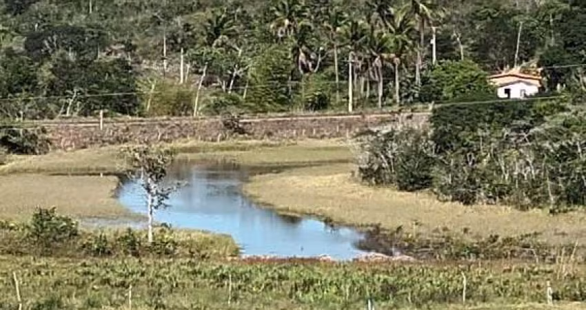 Fazenda à venda no bairro Centro - Araçás/BA