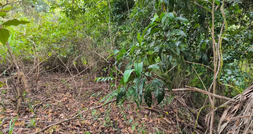 Terreno em condomínio fechado à venda na BR-324, KM 599, Centro, Simões Filho