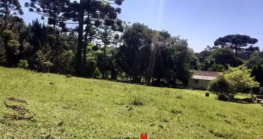 CHÁCARA - CAMPINA DO TAQUARAL