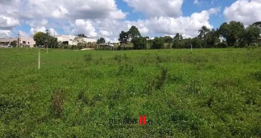 Terreno à venda na José Francisco Negoseki, Colônia Zacarias, São José dos Pinhais