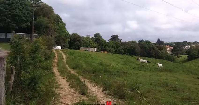 Chácara / sítio com 1 quarto à venda na Estrada Principal, Barro Preto, São José dos Pinhais