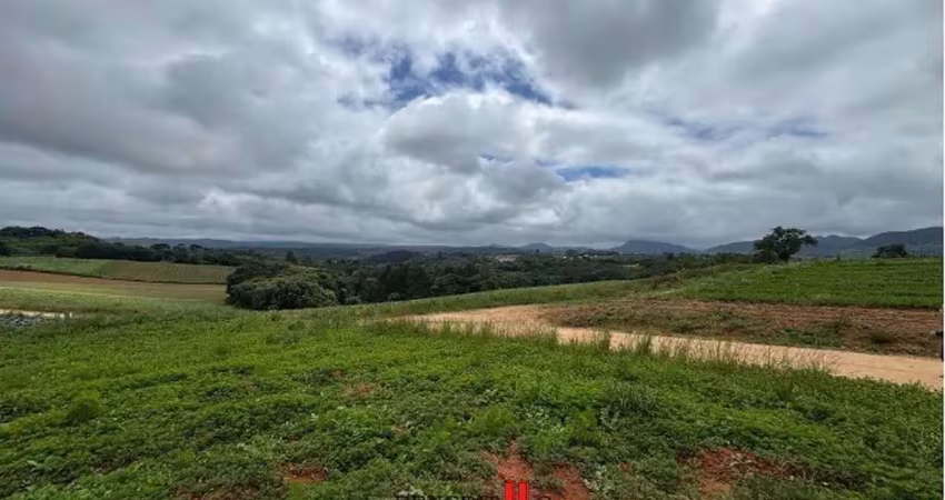 Chácara / sítio à venda na Estrada Principal, Roça Velha, São José dos Pinhais