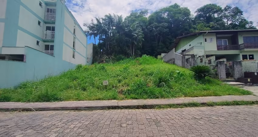 Terreno Comercial e Residencial na Vila Nova