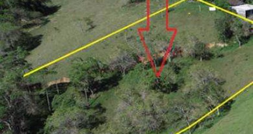 Terreno para Venda em Santo Amaro da Imperatriz, Centro