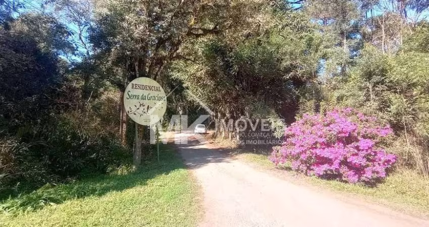 7(sete) opções de negócio - Lote/Terreno, Quatro Barras/PR