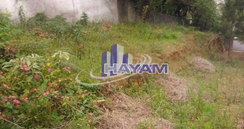 Terreno à venda na Rua Joaquim Martins Coelho, Vila Oliveira, Mogi das Cruzes