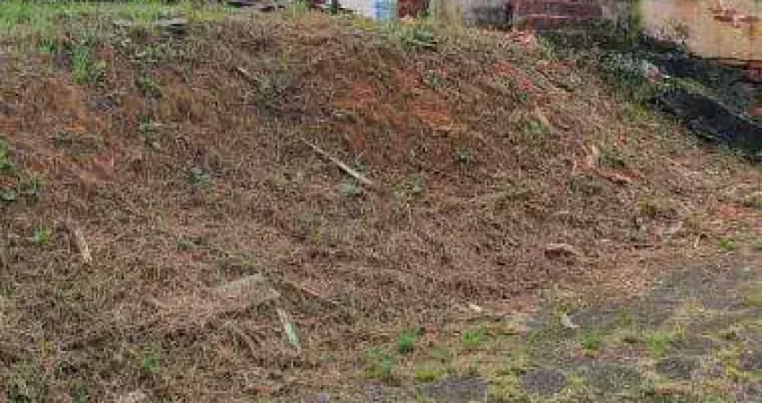 Terreno à venda na Rua Tobias Barreto, 137, Floresta, Joinville