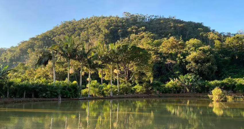 Chácara / sítio com 4 quartos à venda na Zona Rural, Massaranduba 