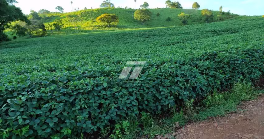 Fazendinha com 199 hectares, dupla aptidão, haá60 km de cascavel
