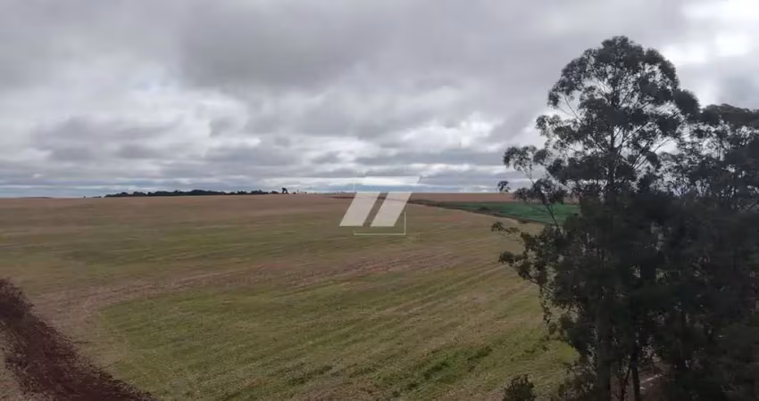 Barracão / Galpão / Depósito à venda em Zona Rural, Cascavel 