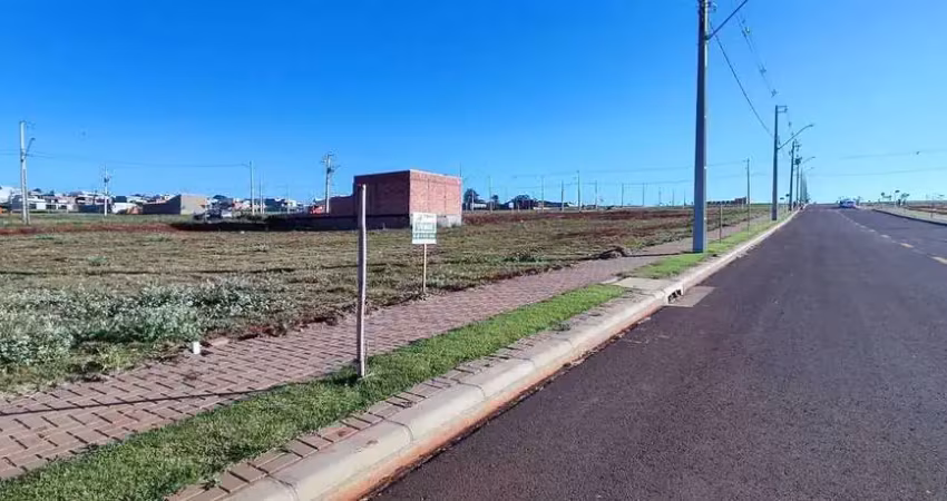 Casa à venda no Brazmadeira, Cascavel 