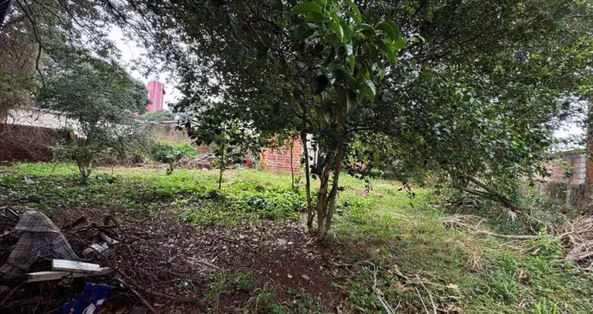 Casa comercial à venda no Centro, Cascavel 