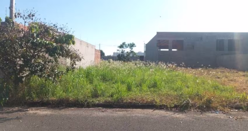 Terreno à venda em Birigui-SP, Jardim Paraíso, com 250,00 m² de área! Venha conferir!