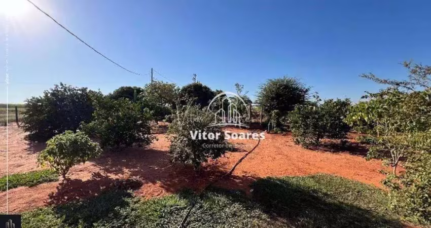 Chácara com 3 dormitórios à venda, 24200 m² por r$ 700.000,00 - taquari - birigüi/sp