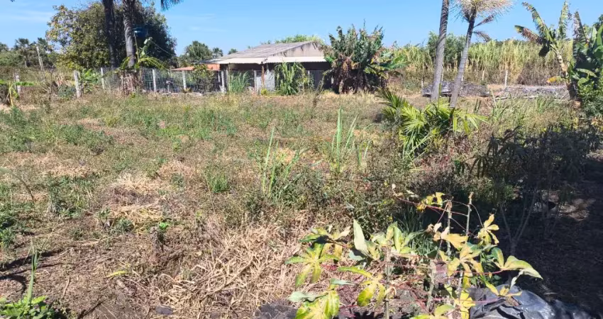 Chácara à venda em samambaia norte - 2.250m² | escriturada | água de nascente | terra fértil