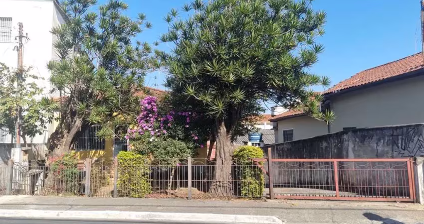 Terreno à venda na Rua Nova dos Portugueses, 683, Chora Menino, São Paulo