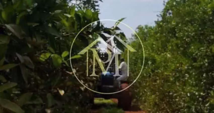 Terreno à venda no Europark, Tatuí 