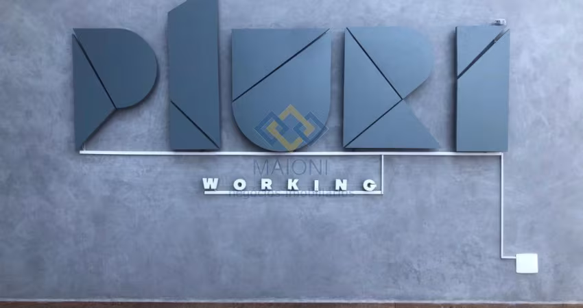 PLURI COORKING
