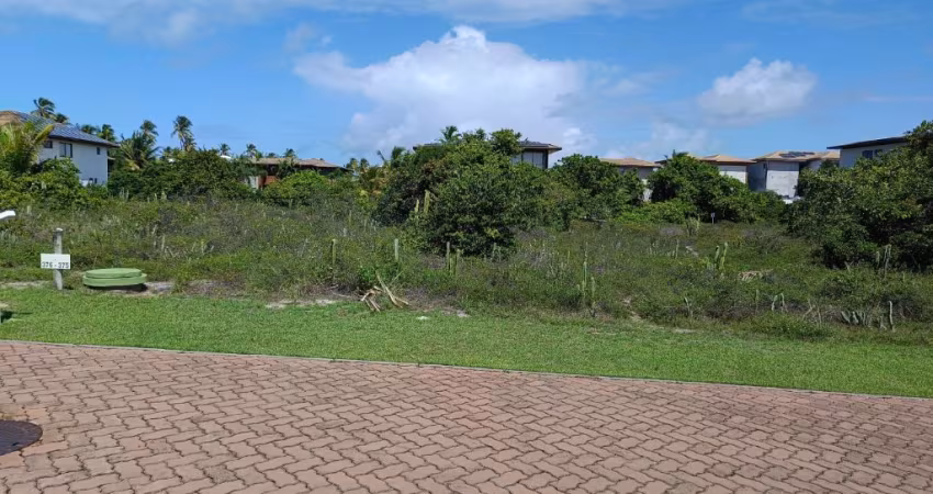 LOTE RARO E EXCLUSIVO