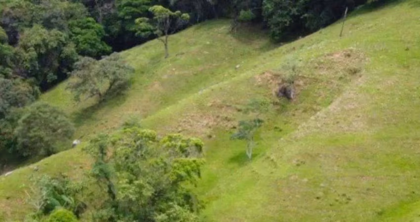 Terreno à venda, 87000 m² por r$ 798.000,00 - colônia santana - são josé/sc