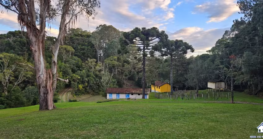 Chácara à venda – 45.000 m² – em roça velha, contenda, são josé dos pinhais