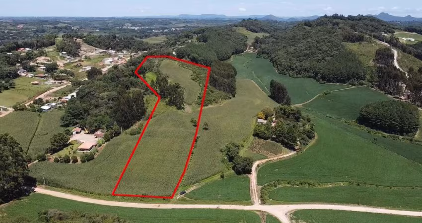 Área para Venda em Campo Magro, Centro
