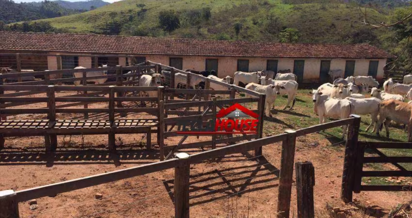 Fazenda com 8 dormitórios à venda, 6776000 m² por R$ 18.000.000,00 - Zona Rural - Tapira/MG
