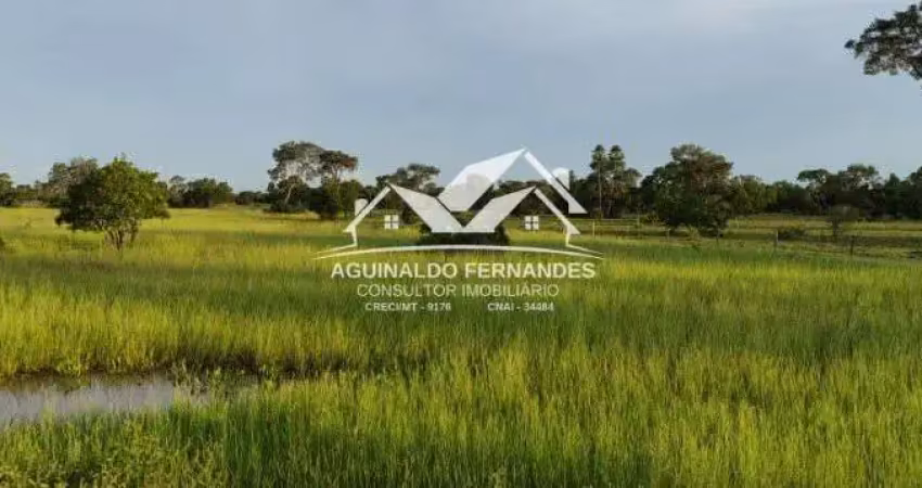 Fazenda à venda no Pirizal, Nossa Senhora do Livramento 