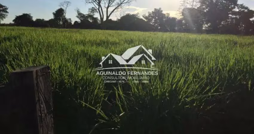 Fazenda pecuária beira de rio, 110 hectares perto de cuiabá